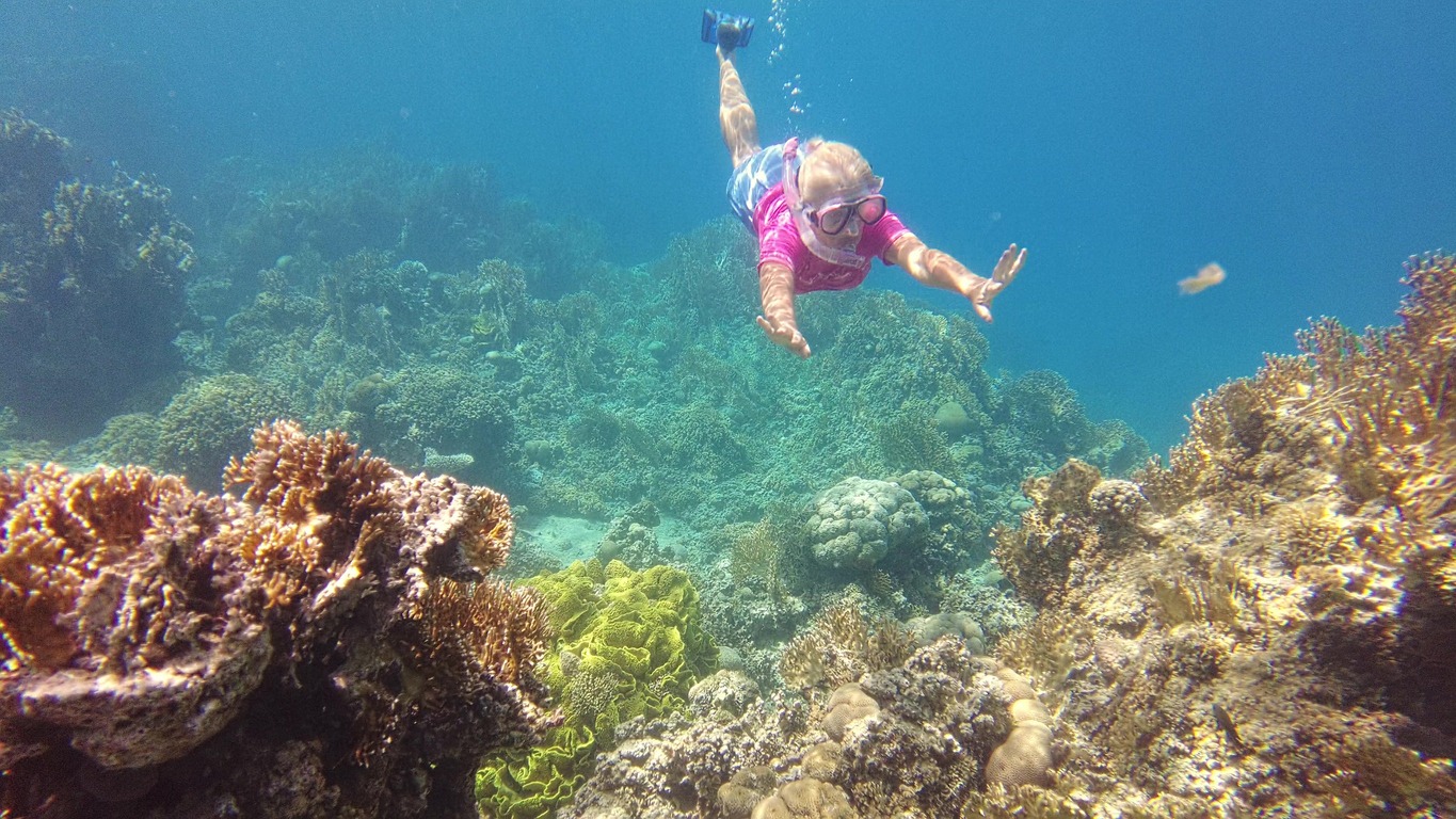 5 Reasons Why Everyone Should Try Snorkeling