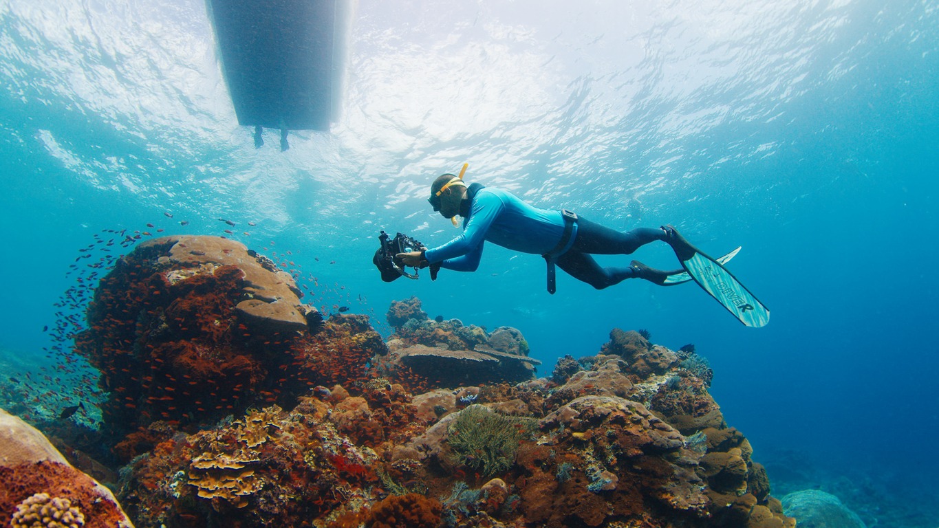 Underwater photographer takes pictures of the healthy coral reef