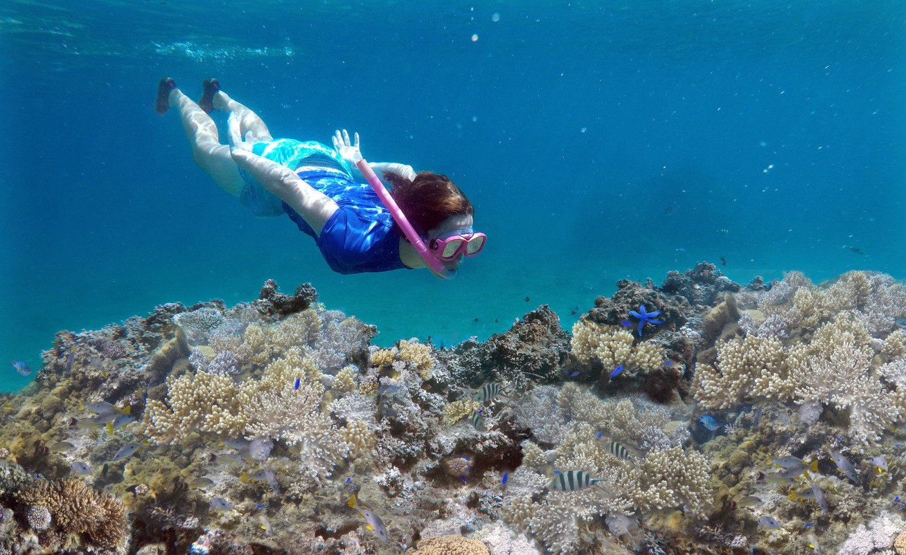 Best Snorkeling Spots in Fiji for an Underwater Adventure
