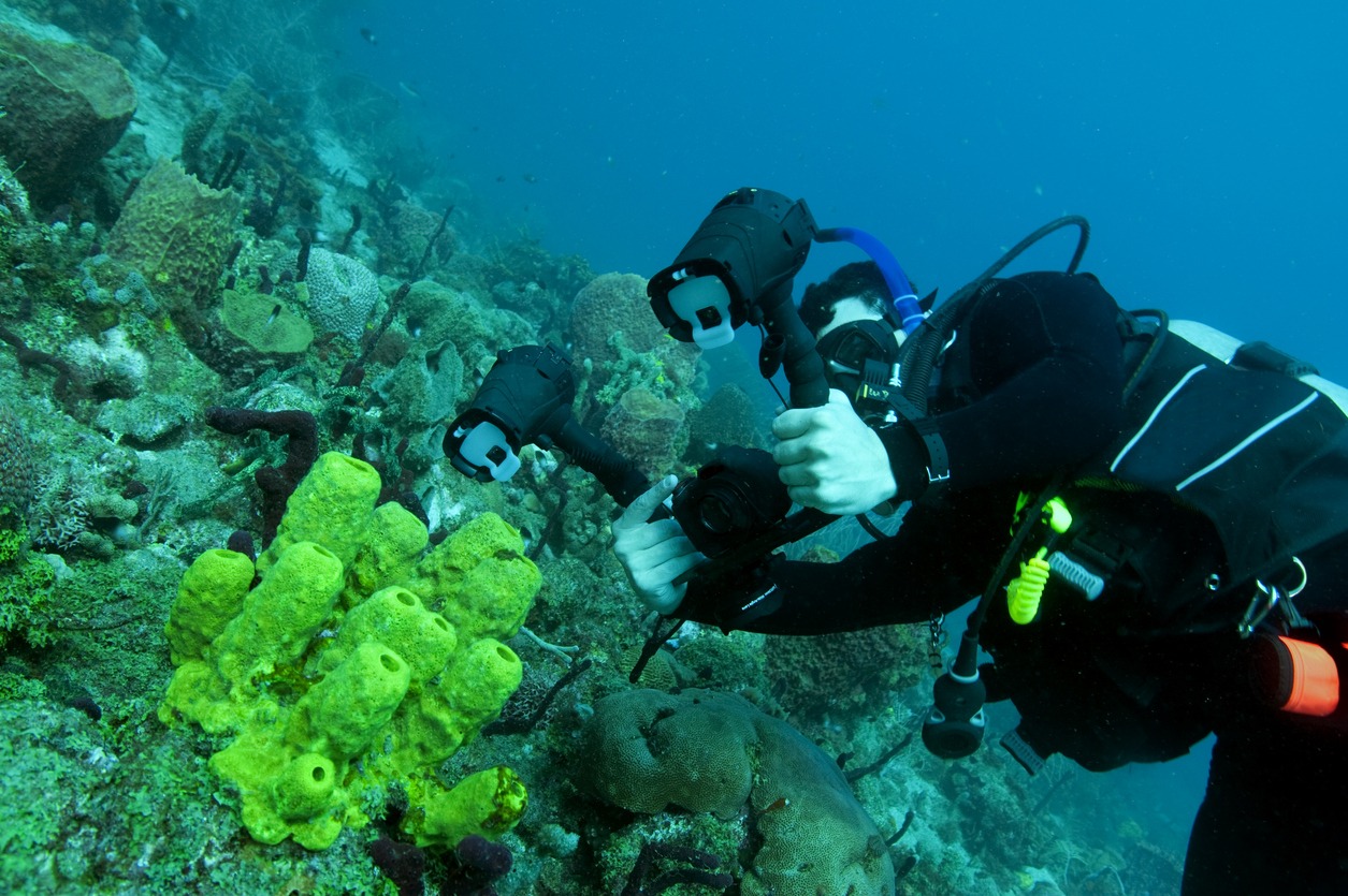 Underwater photographer