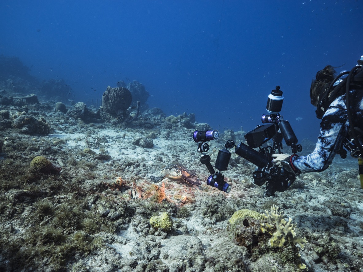underwater cinematographer