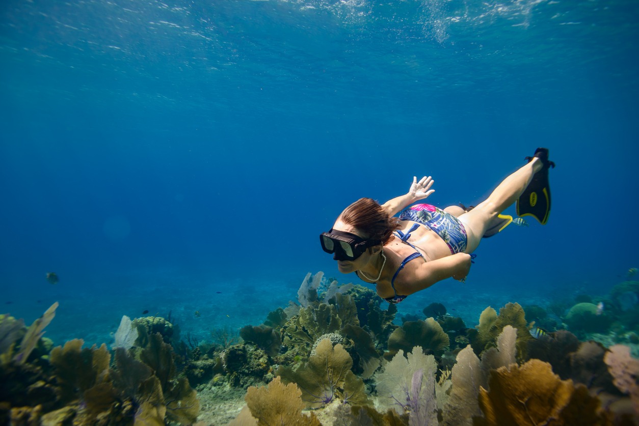 Snorkeling Along the East Coast