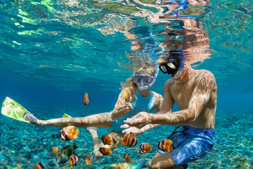 Happy family vacation. A young couple in snorkeling masks hold hands, dive underwater with fishes in coral reef sea pool. Travel lifestyle, watersport adventure, swim activity on summer beach holiday