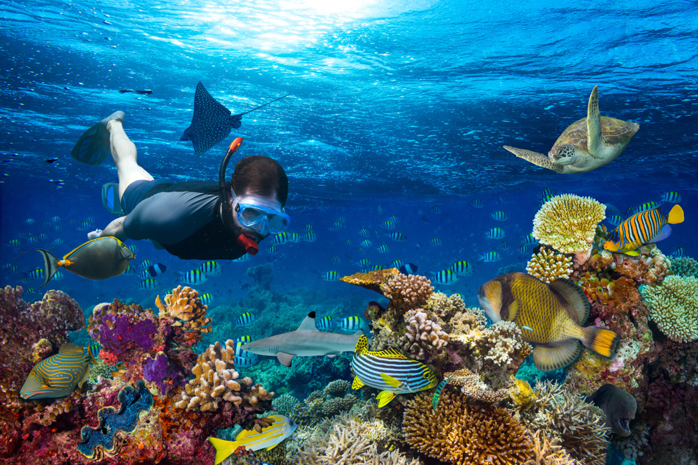 Young men snorkeling exploring underwater coral reef landscape background in the deep blue ocean with colorful fish and marine life