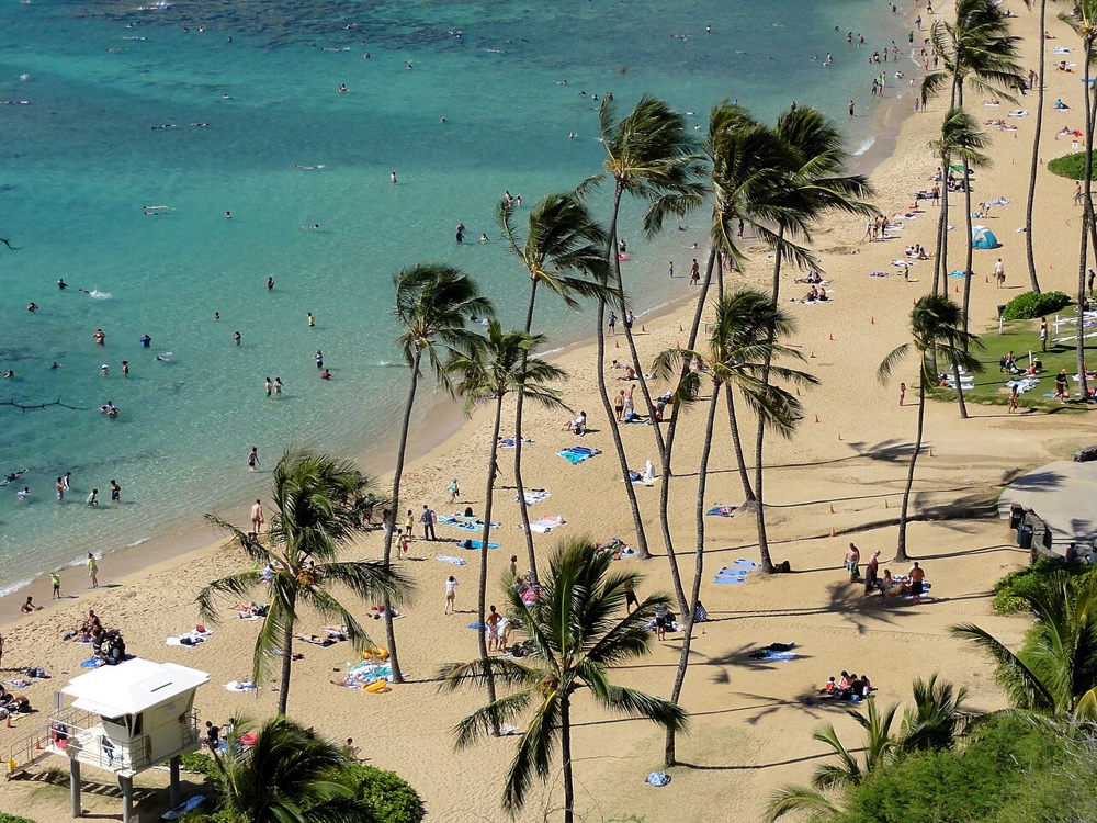 Beach area from above