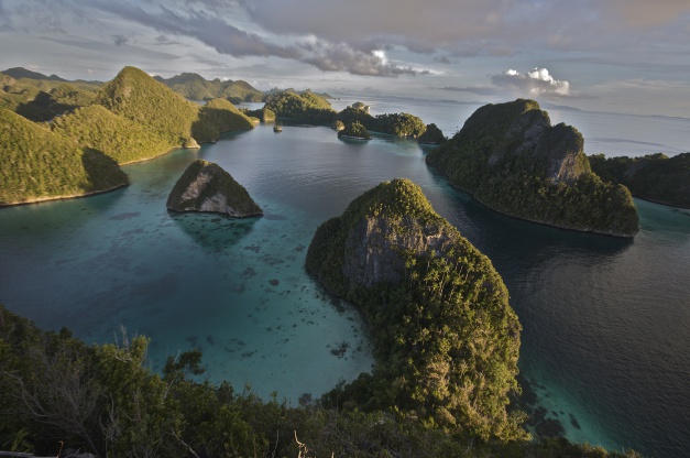 These Raja Ampat Islands are thought to have the greatest marine diversity on earth. By exploring islands like these in the Malay Archipelago (modern day Indonesia), Alfred Russell Wallace (the “father of biogeography") discovered the Wallace Line and crafted a theory of evolution by natural selection
