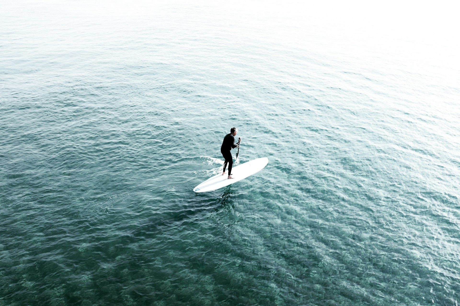 Proper Paddling Techniques