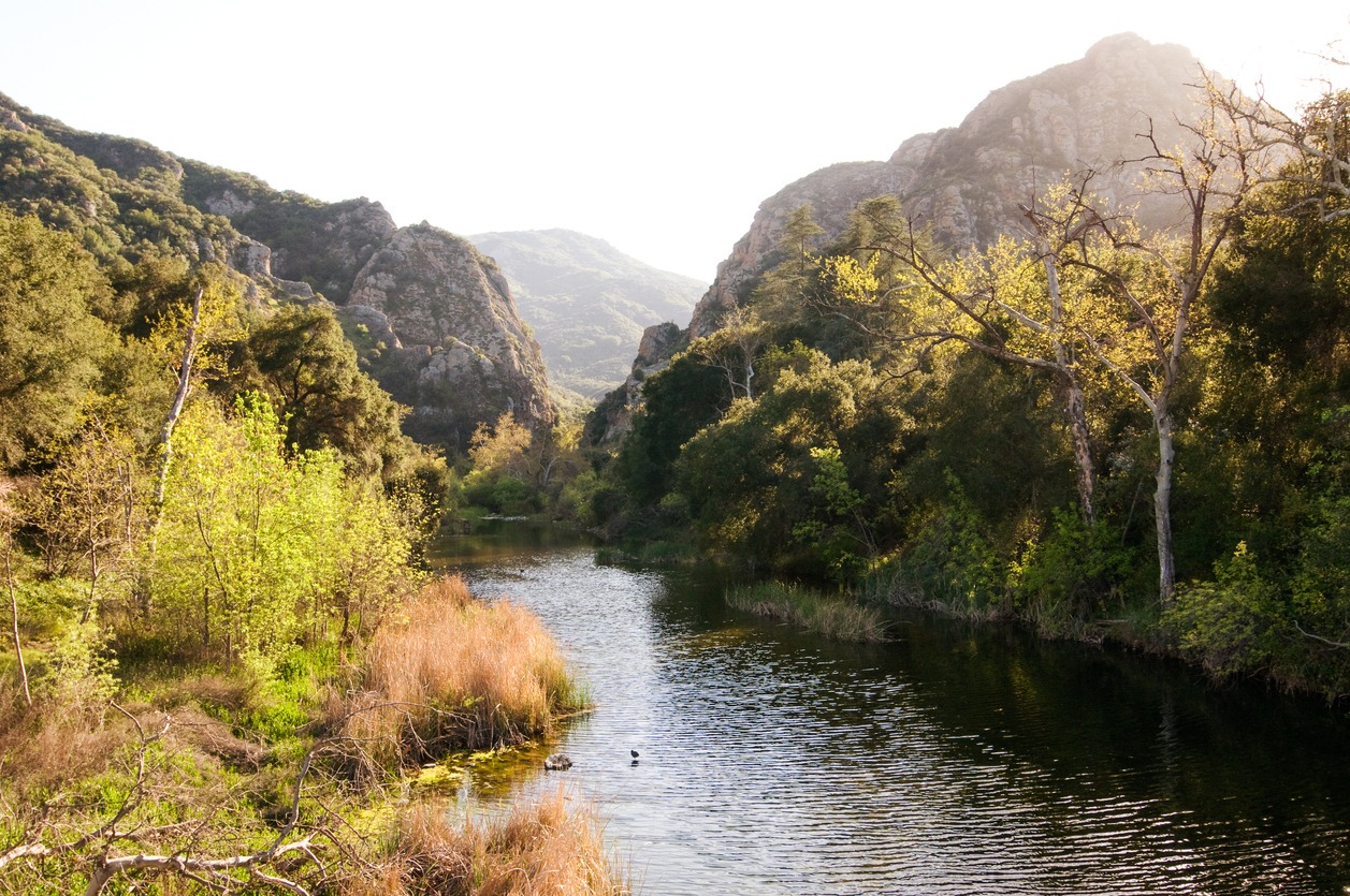 Malibu Creek, California