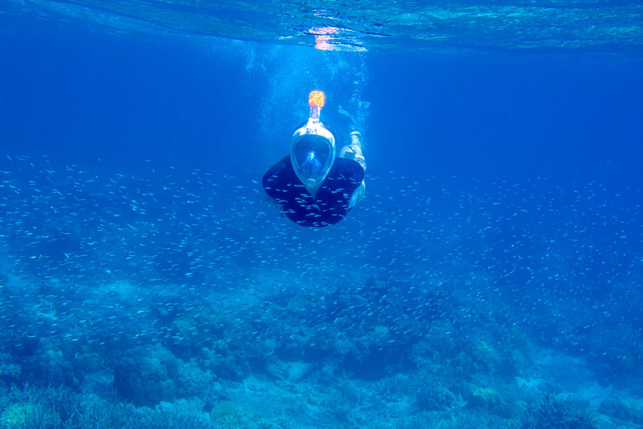 Best Snorkeling Masks to Use With Gopro Cameras