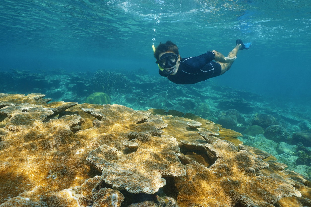 Man snorkeling underwater over tropical reef