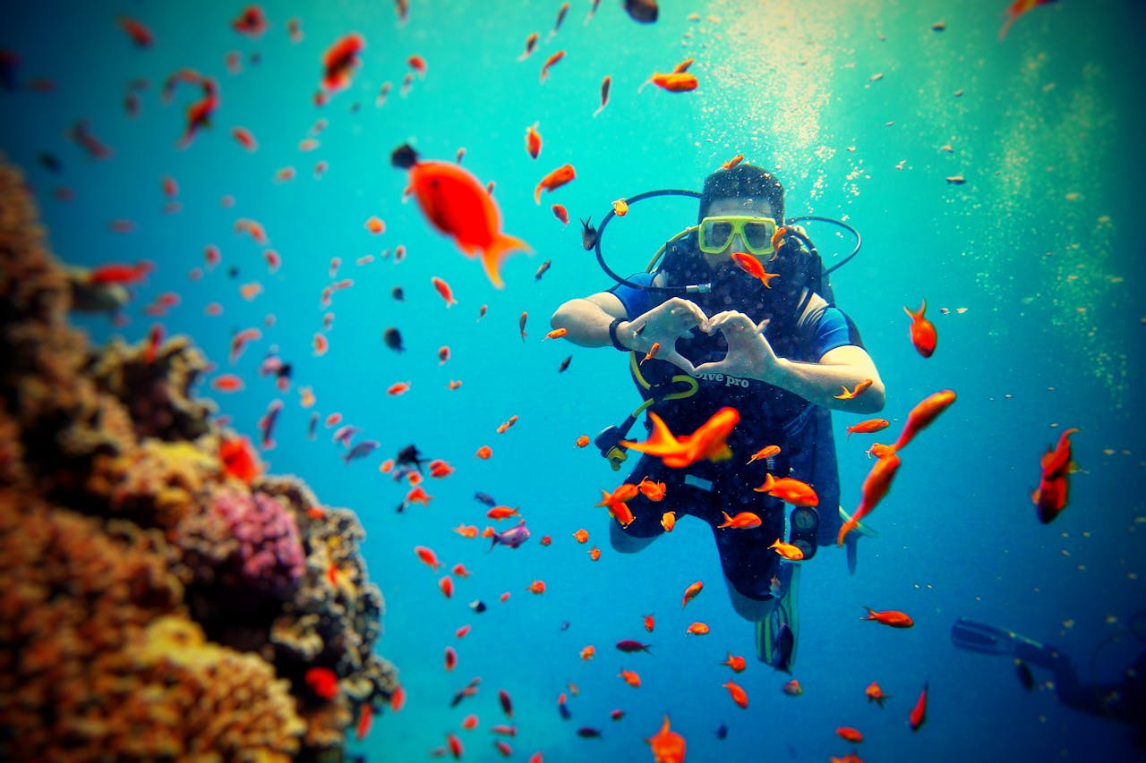 Underwater Etiquette and Conservation