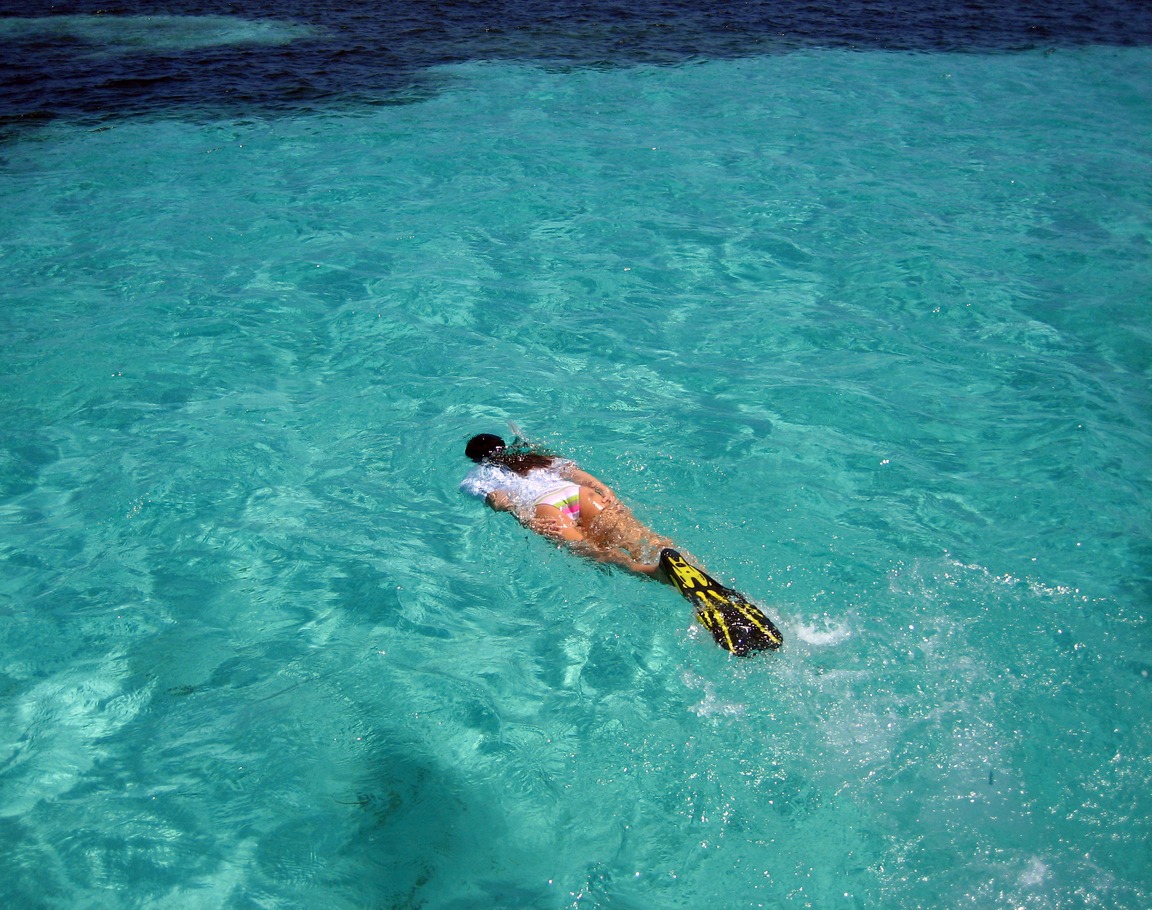 Attractive Female Snorkelling in Caribbean
