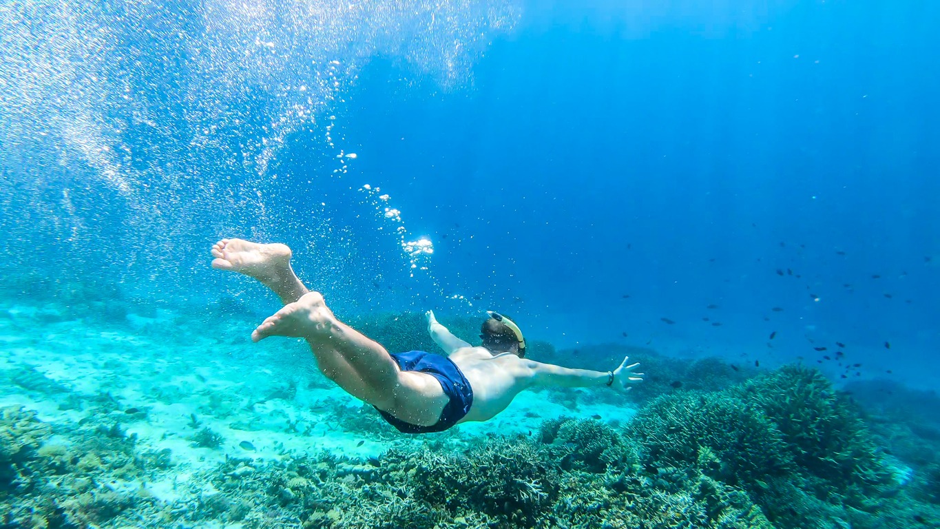 A man snorkelling on a coral reef