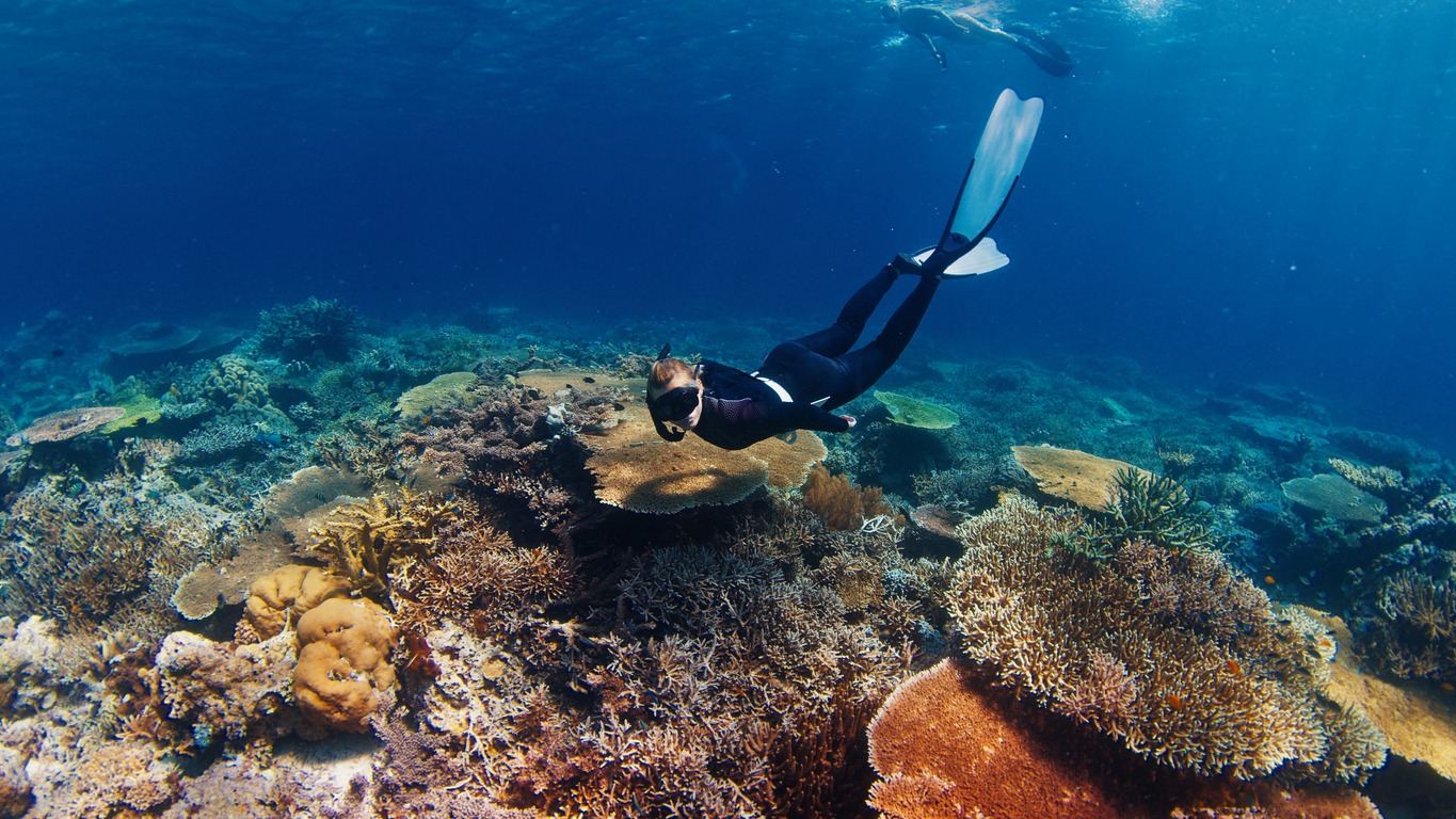 hone your snorkeling skills