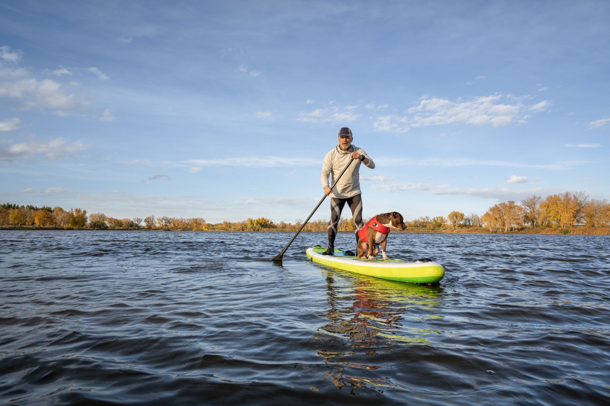 senior male is paddling an inflatable stand up paddleboard with a pitbull dog on lake
