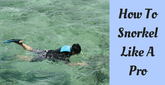 How To Snorkel