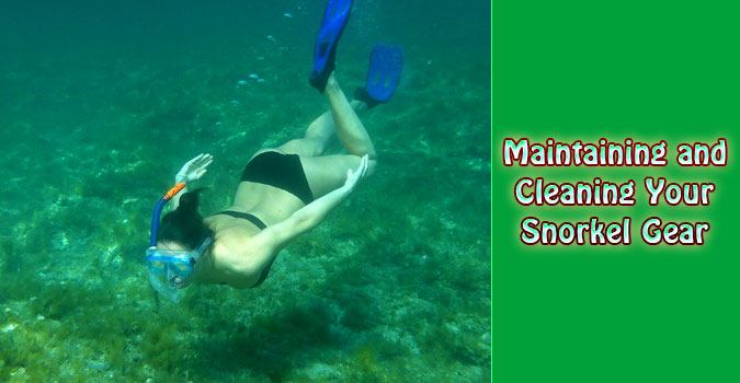 Maintaining and Cleaning Your Snorkel Gear