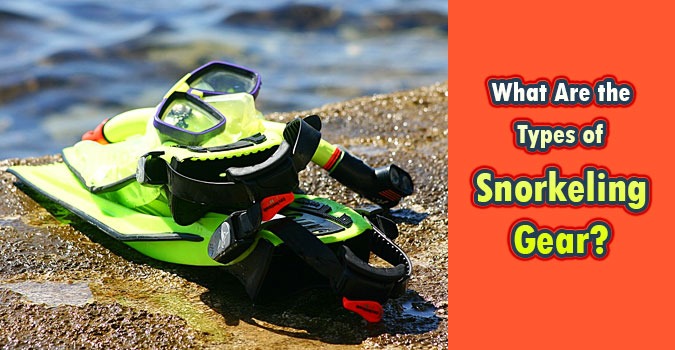 What Are the Types of Snorkeling Gear?