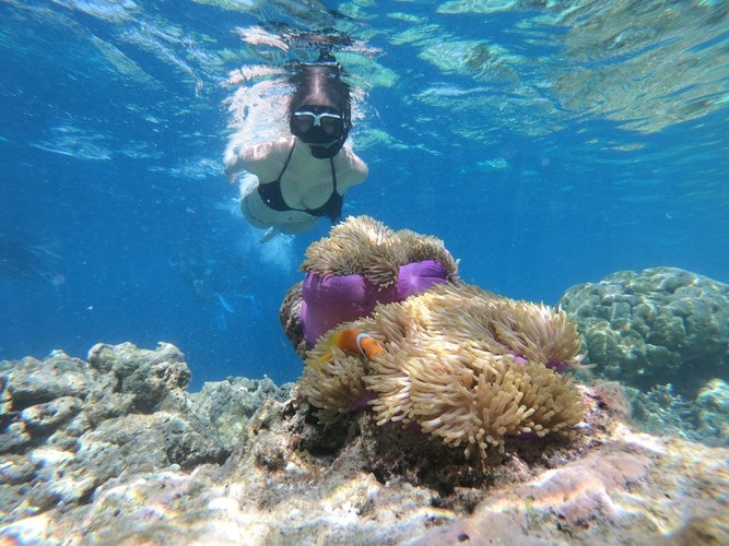 Best Snorkeling Spots in Fiji