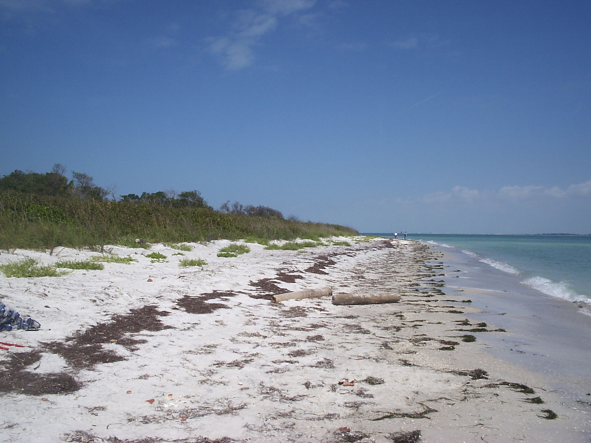 looking north along eastern beach of Egmont Key)