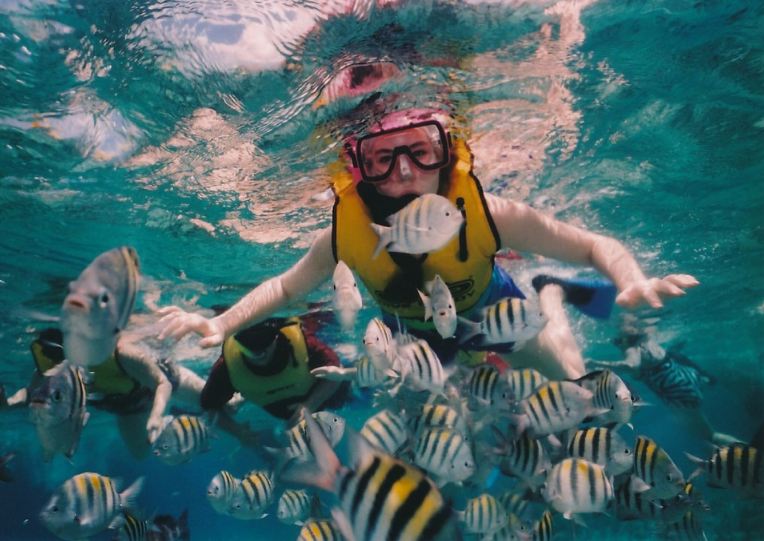 a person snorkeling with fish