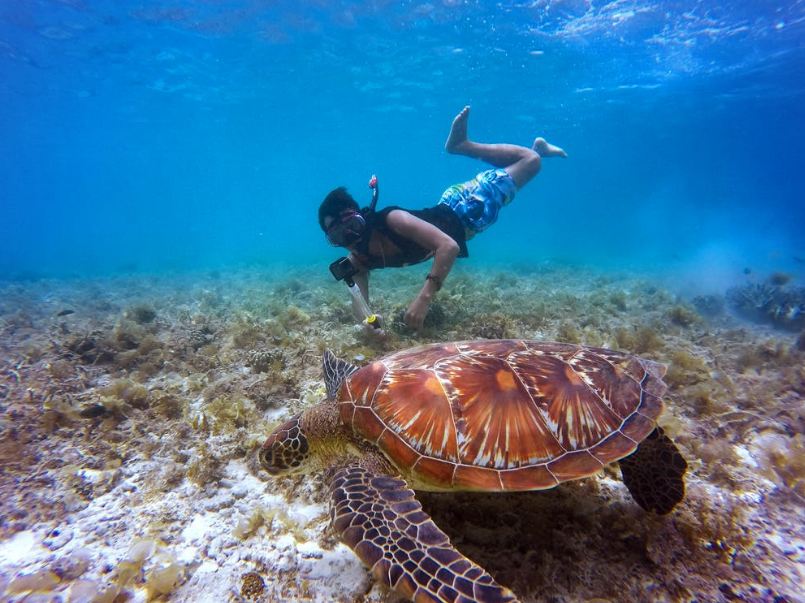 A man watching a big sea turtle underwater