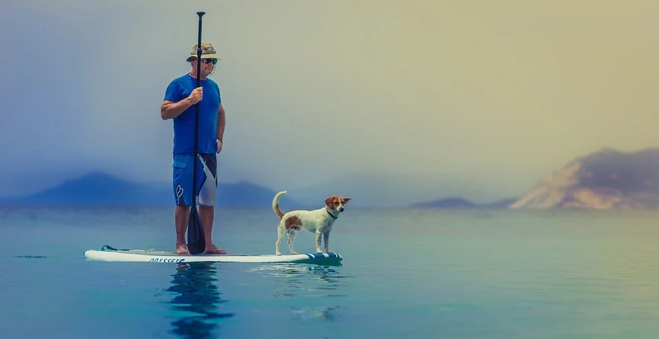 a man in blue standing with a dog on a paddleboard, stand-up paddleboarding at the ocean