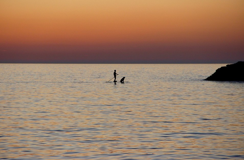 a man stand-up paddleboarding with a dog, dawn, ocean