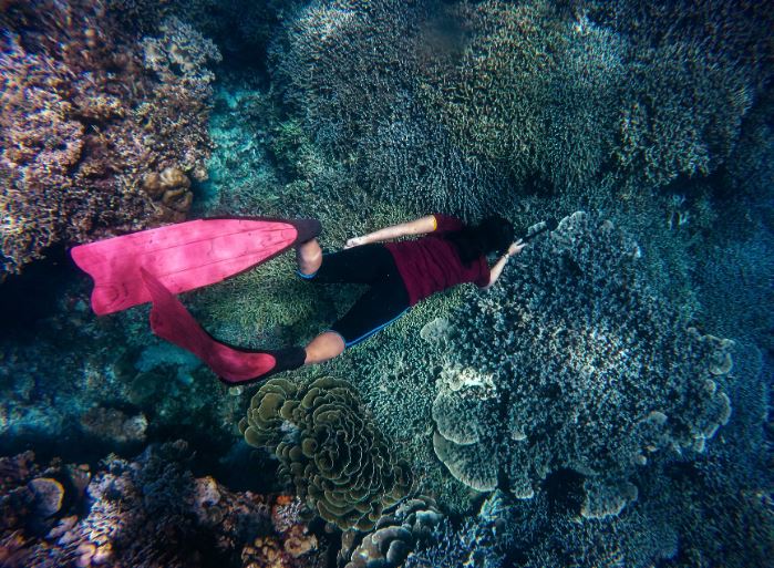 a woman snorkeling near corals
