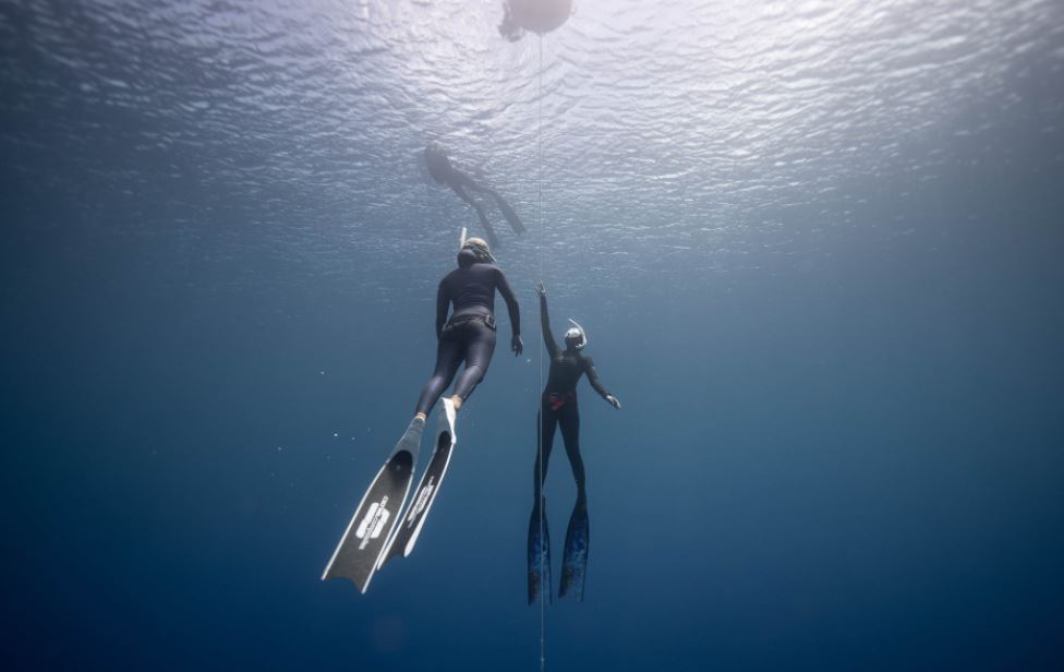 divers swimming underwater