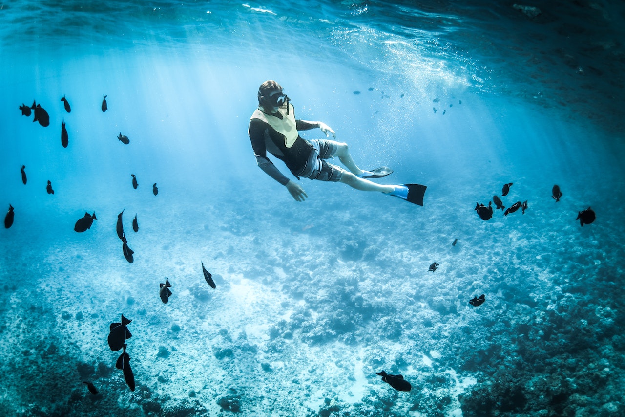 a man snorkeling with fishes