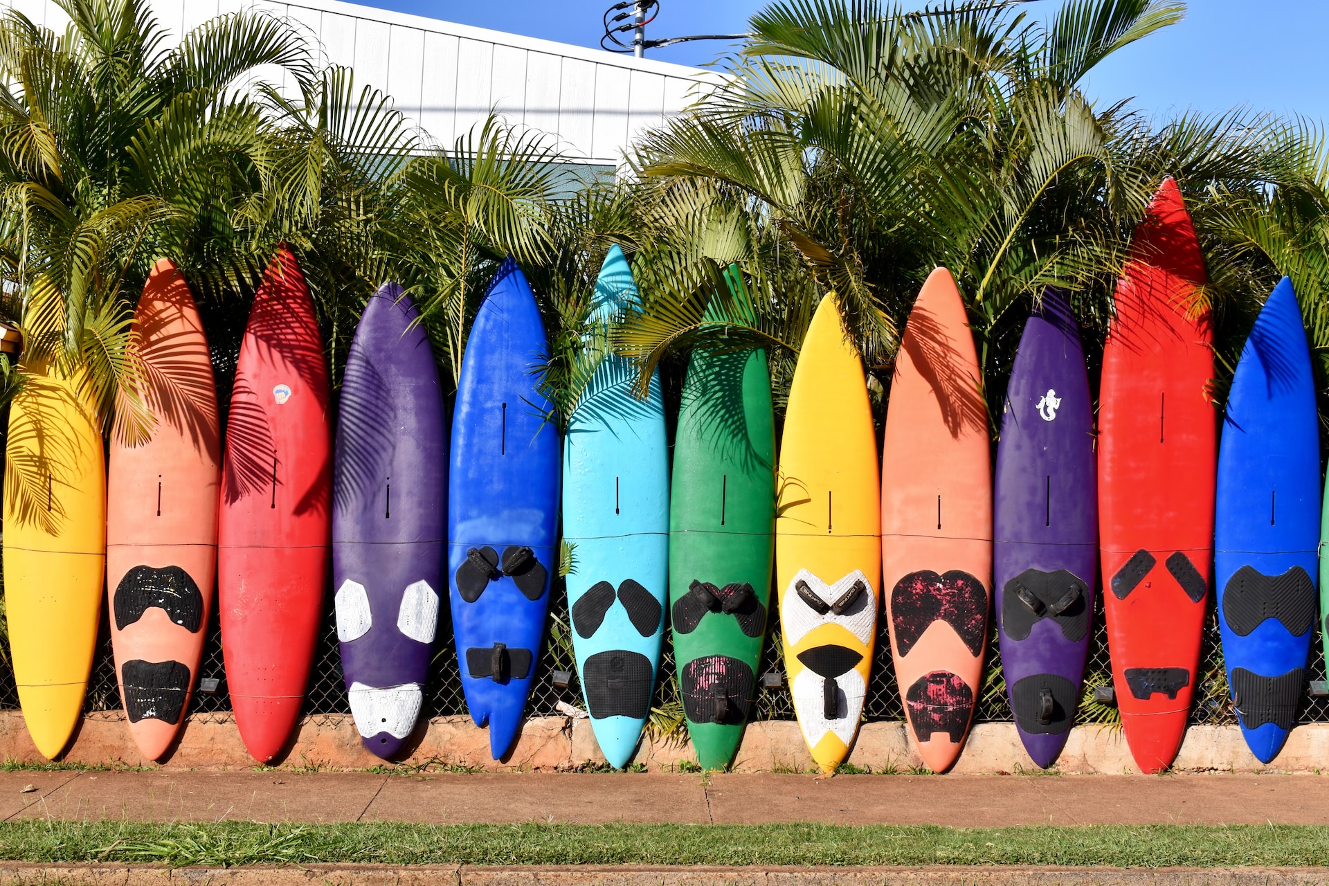 twelve colorful paddleboards